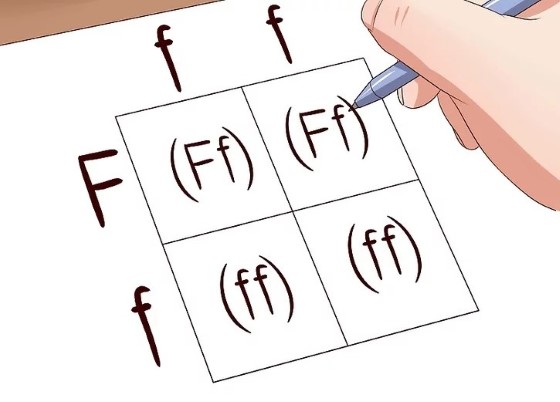 Ukázka metody testovacího kříže - zaměníte-li "f" za "z", můžete si tuto metodu vyzkoušet dle popisu výše; zdroj: wikihow.com